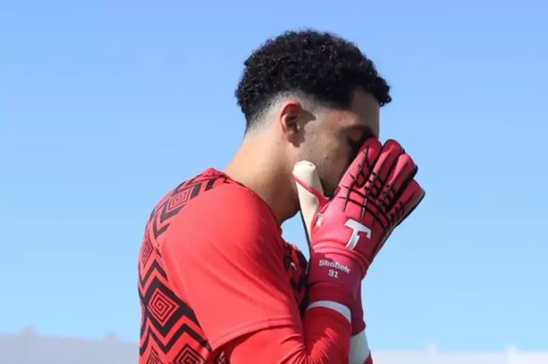 مصطفى شوبير